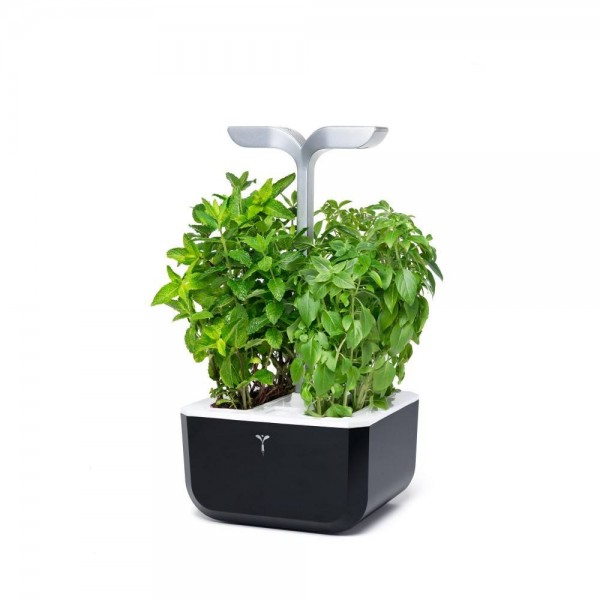 VERITABLE Домашна градина EXKY® SMART GARDEN - цвят черен/инокс