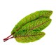 VERITABLE Lingot® Bloody Dock - Лапад