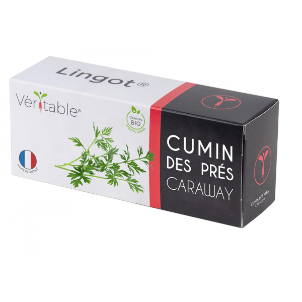 VERITABLE Lingot® Cumin - Кимион