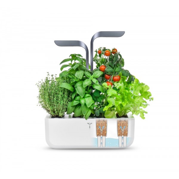 VERITABLE Домашна градина CONNECT VERITABLE® GARDEN - цвят бял/графит