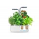 VERITABLE Домашна градина CONNECT VERITABLE® GARDEN - цвят бял/графит