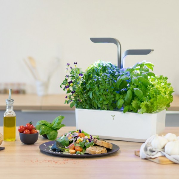 VERITABLE Домашна градина CONNECT VERITABLE® GARDEN - цвят бял/графит