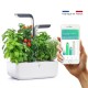 VERITABLE Домашна градина CONNECT VERITABLE® GARDEN - цвят бял/графит