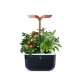 VERITABLE Домашна градина EXKY® SMART GARDEN - цвят черен/мед