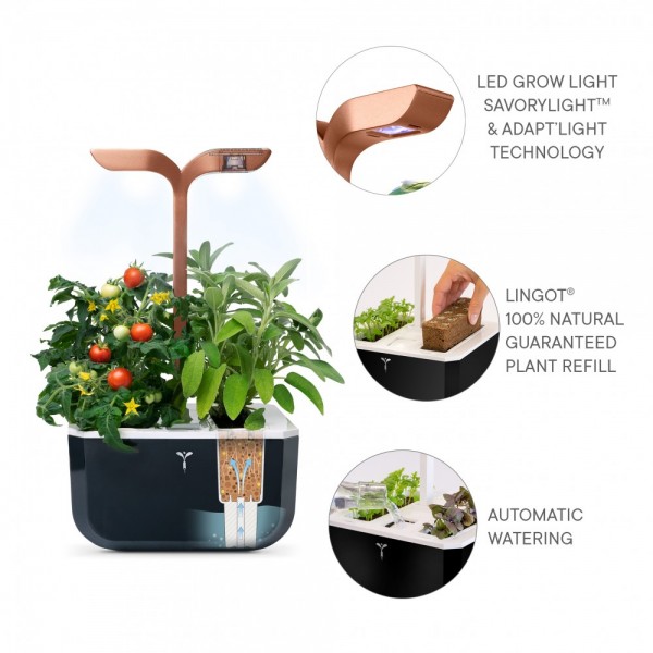 VERITABLE Домашна градина EXKY® SMART GARDEN - цвят черен/мед