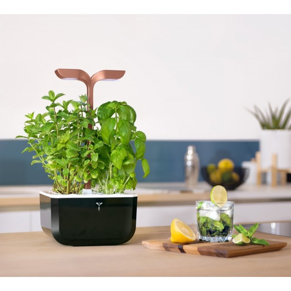 VERITABLE Домашна градина EXKY® SMART GARDEN - цвят черен/мед
