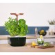VERITABLE Домашна градина EXKY® SMART GARDEN - цвят черен/мед