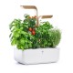 VERITABLE Домашна градина CONNECT VERITABLE® GARDEN - цвят бял/злато