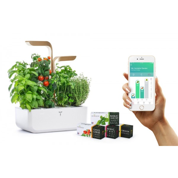 VERITABLE Домашна градина CONNECT VERITABLE® GARDEN - цвят бял/злато