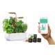 VERITABLE Домашна градина CONNECT VERITABLE® GARDEN - цвят бял/злато