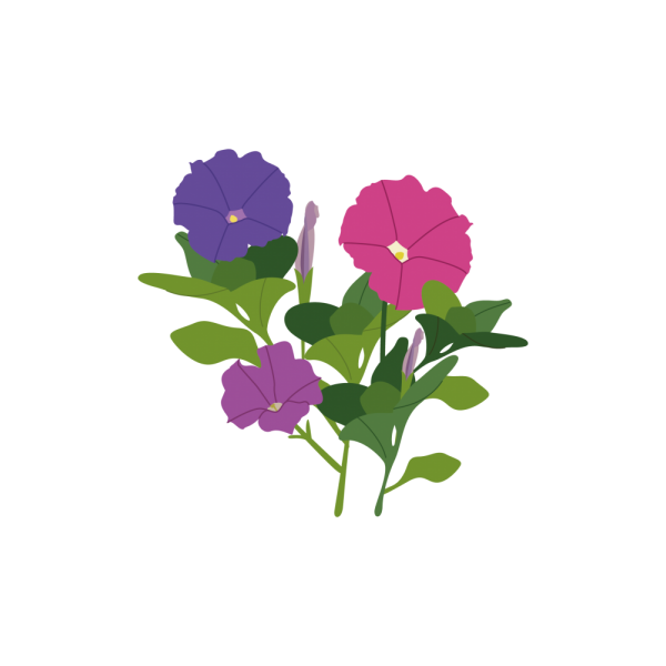 VERITABLE Lingot® Petunia - Ядлива Петуния