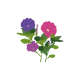 VERITABLE Lingot® Petunia - Ядлива Петуния