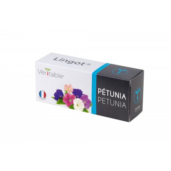 VERITABLE Lingot® Petunia - Ядлива Петуния