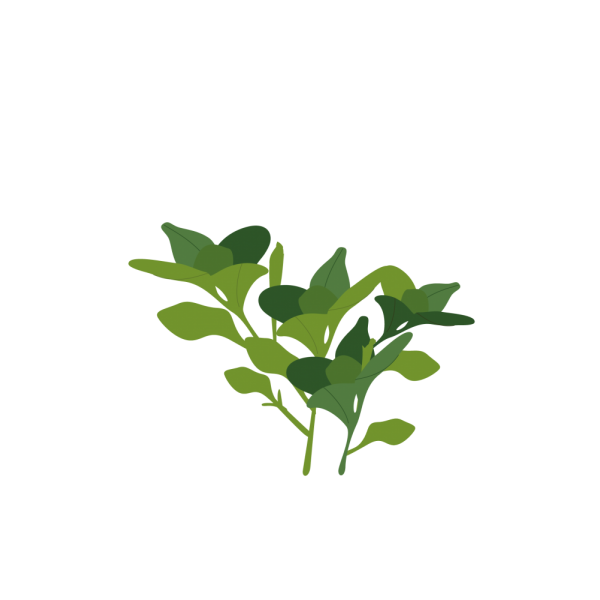 VERITABLE Lingot® Petunia - Ядлива Петуния