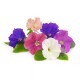 VERITABLE Lingot® Petunia - Ядлива Петуния