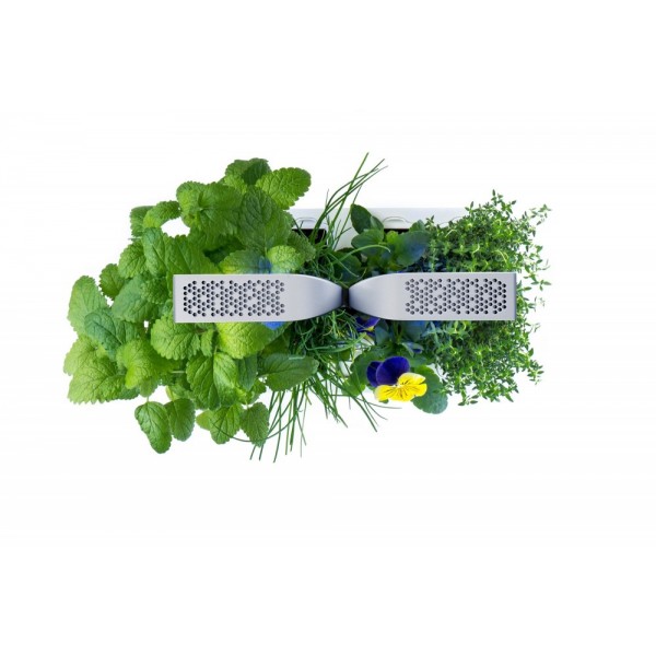 VERITABLE Домашна градина SMART VÉRITABLE® GARDEN - цвят бял/ инокс