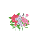 VERITABLE Lingot® Phlox - Ядлив Флокс