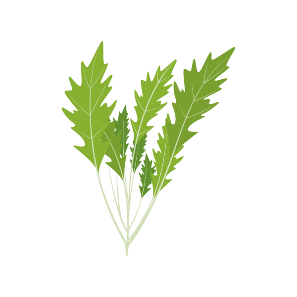 VERITABLE Lingot® Mizuna Organic - Японска салата Мизуна