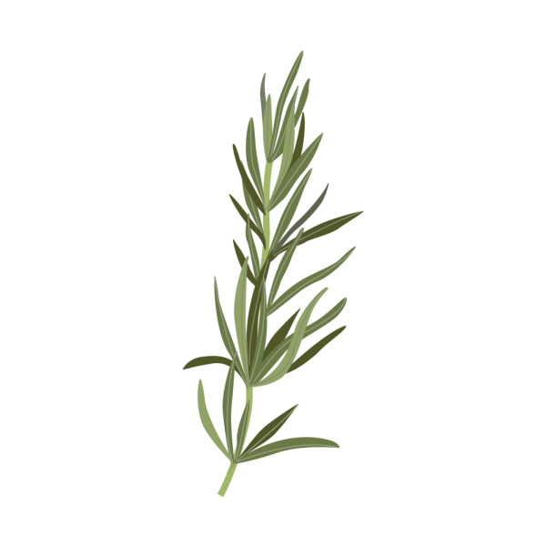 VERITABLE Lingot® Rosemary - Розмарин