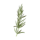 VERITABLE Lingot® Rosemary - Розмарин
