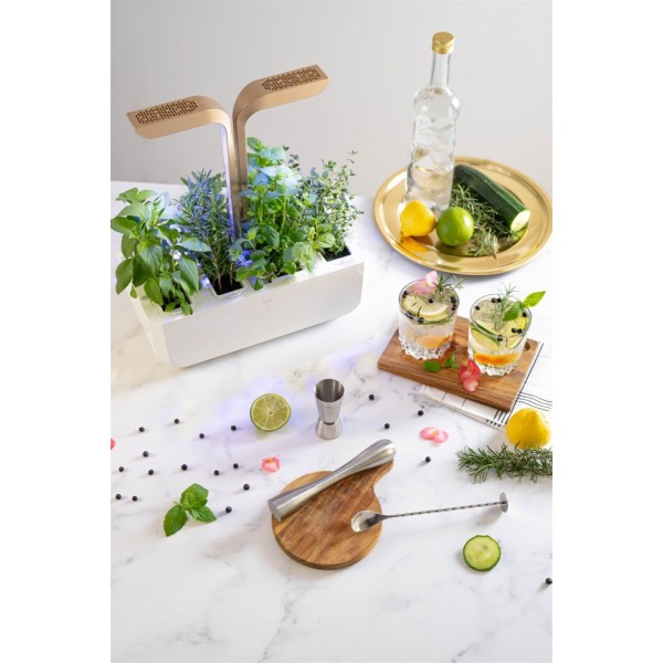 Veritable Подаръчен сет “COCKTAILS“ с 4 бр. пълнители Lingot® и аксесоари за коктейли
