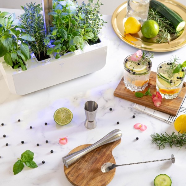 Veritable Подаръчен сет “COCKTAILS“ с 4 бр. пълнители Lingot® и аксесоари за коктейли