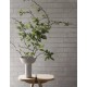 BLOMUS Ваза икебана MIYABI - цвят бежов (Moonbeam)