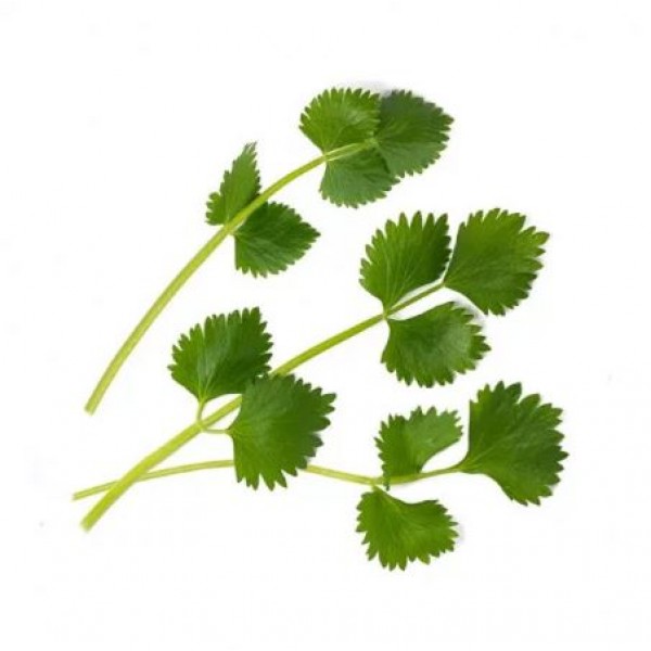 VERITABLE Lingot® Green Anise - Зелен анасон