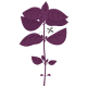 VERITABLE Lingot® Purple Basil Organic - Лилав Босилек