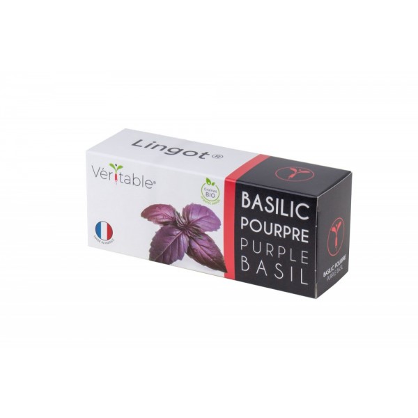 VERITABLE Lingot® Purple Basil Organic - Лилав Босилек