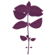 VERITABLE Lingot® Purple Basil Organic - Лилав Босилек