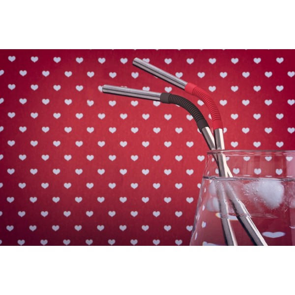 ASOBU Сламки за многократна употреба "ЕCO FRIENDLY REUSABLE STRAWS PS2"- цвят червен/черен