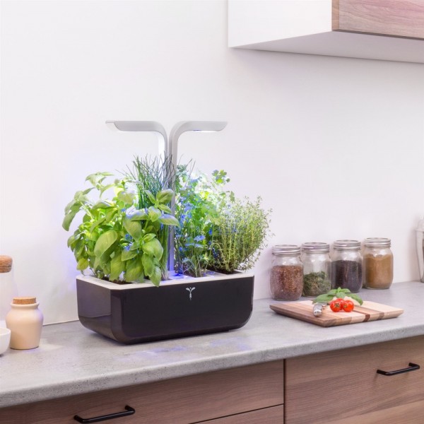 VERITABLE Домашна градина SMART VÉRITABLE® GARDEN - цвят черен/инокс