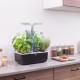 VERITABLE Домашна градина SMART VÉRITABLE® GARDEN - цвят черен/инокс
