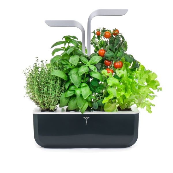 VERITABLE Домашна градина SMART VÉRITABLE® GARDEN - цвят черен/инокс