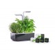 VERITABLE Домашна градина SMART VÉRITABLE® GARDEN - цвят черен/инокс