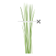 VERITABLE Lingot® Chives Organic - Див лук (Шивес)