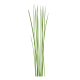 VERITABLE Lingot® Chives Organic - Див лук (Шивес)