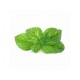 VERITABLE Lingot® Mammoth Basil Organic - Босилек Мамут