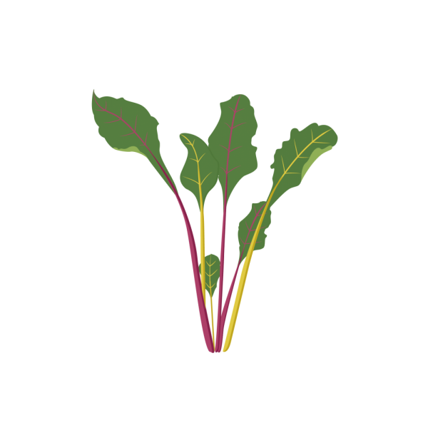 VERITABLE Lingot® Swiss Chard Organic - Манголд