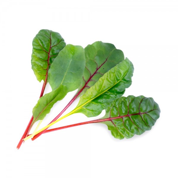 VERITABLE Lingot® Swiss Chard Organic - Манголд