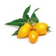 VERITABLE Lingot® Yellow Mini-Tomato - Жълти Мини Домати