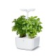 VERITABLE Домашна градина EXKY® CLASSIC GARDEN - цвят бял