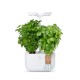 VERITABLE Домашна градина EXKY® CLASSIC GARDEN - цвят бял