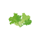 VERITABLE Lingot® Butterhead Lettuce Organic - Маруля