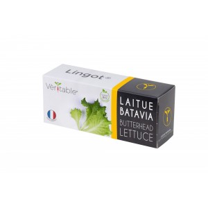 VERITABLE Lingot® Butterhead Lettuce Organic - Маруля