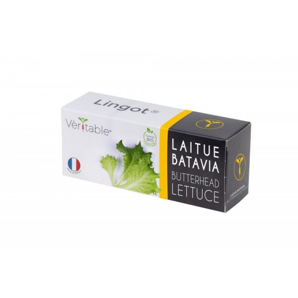 VERITABLE Lingot® Butterhead Lettuce Organic - Маруля