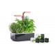 VERITABLE Домашна градина SMART VÉRITABLE® GARDEN - цвят черен/мед