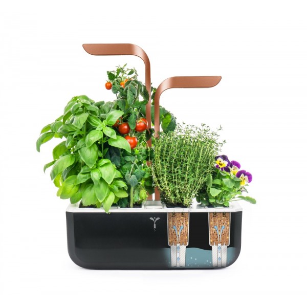 VERITABLE Домашна градина SMART VÉRITABLE® GARDEN - цвят черен/мед
