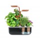 VERITABLE Домашна градина SMART VÉRITABLE® GARDEN - цвят черен/мед